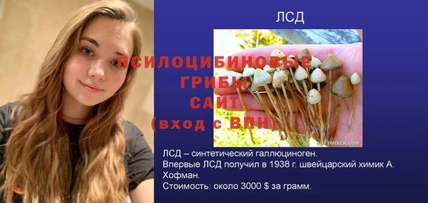 СК Пролетарск